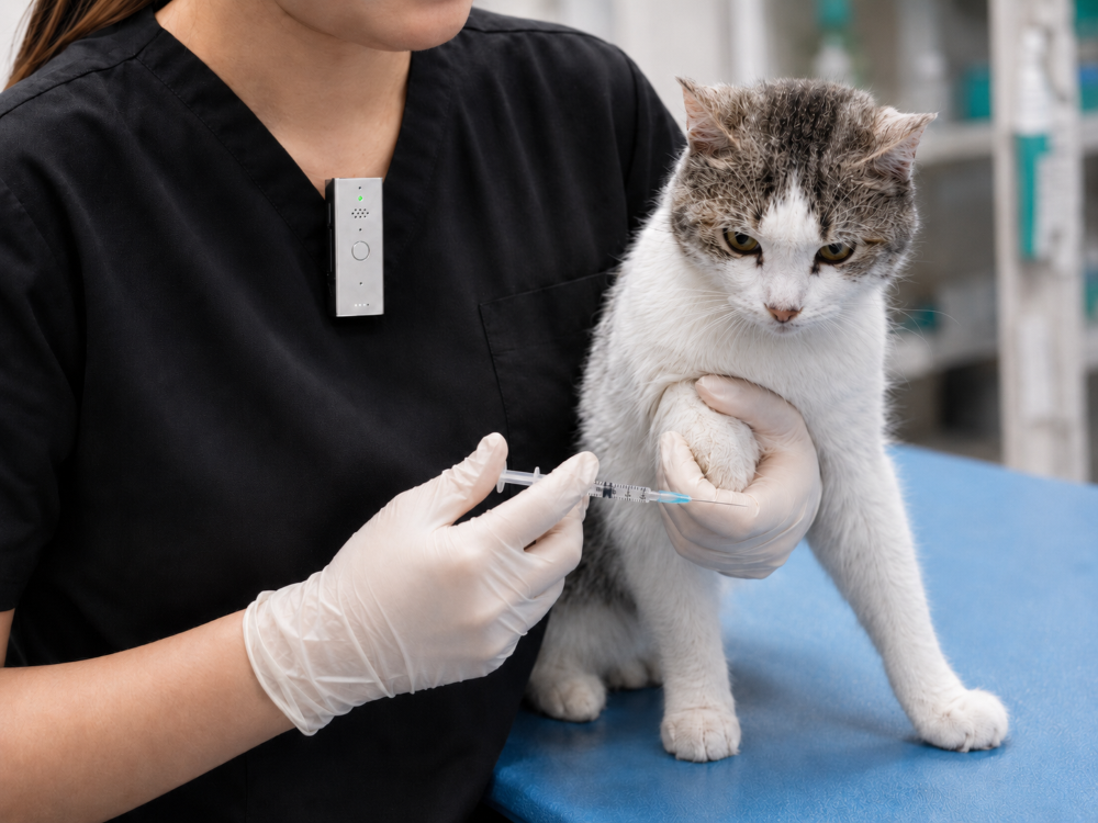 Wearable voice recorder for veterinary clinics